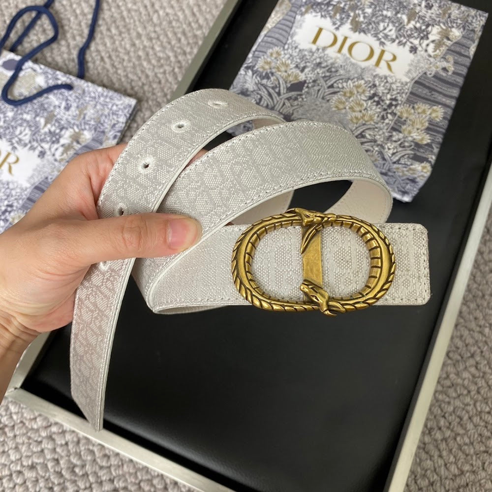 Dragons Bags Diorn Luxury Belt --107754