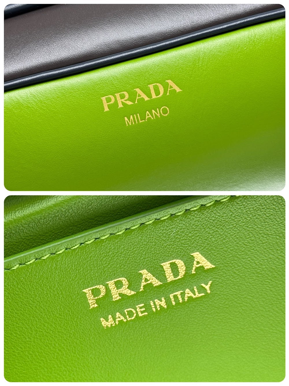 Dragons Bags Pradn Luxury Bag --101919