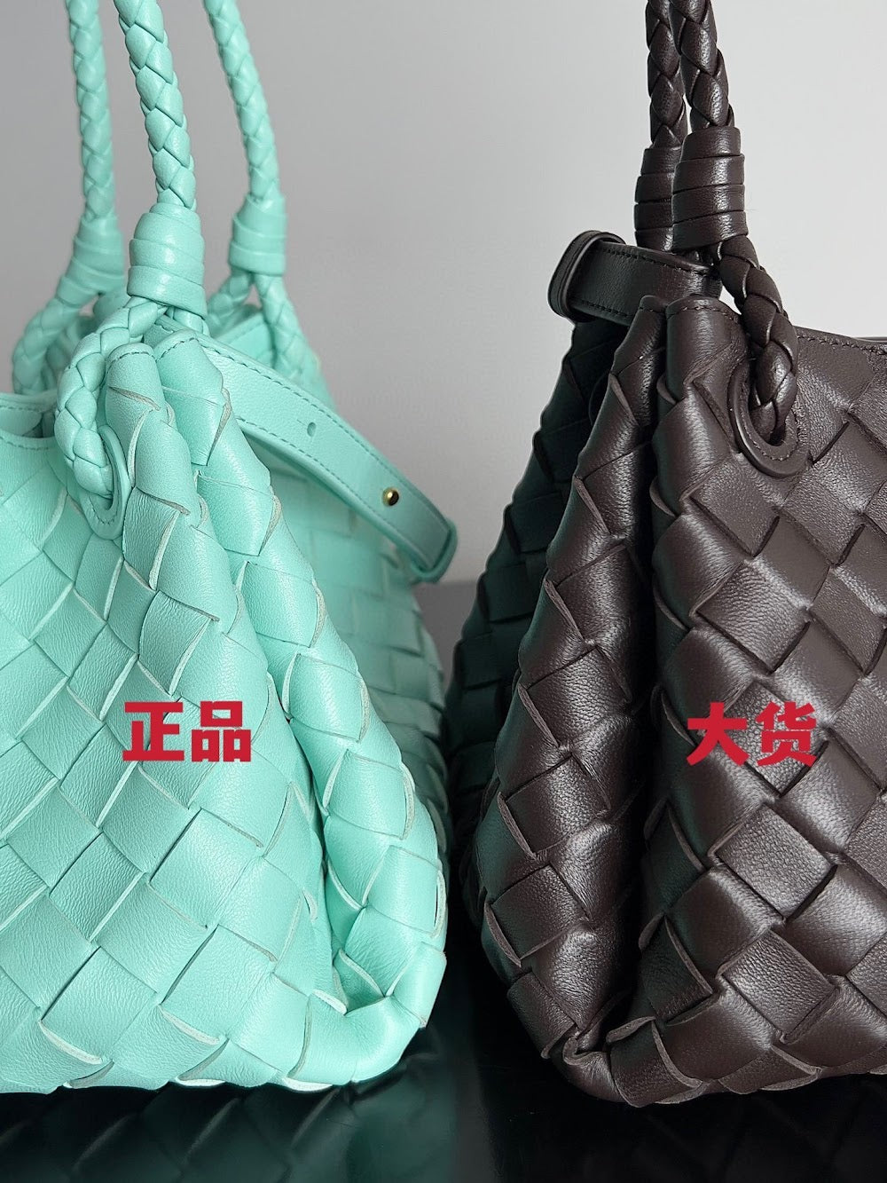 Dragons Bags Bottegan Luxury Bag --91093