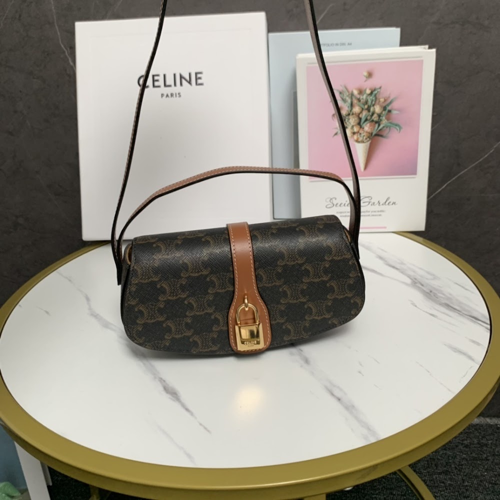 Dragons Bags Celine Luxury Bag --112165