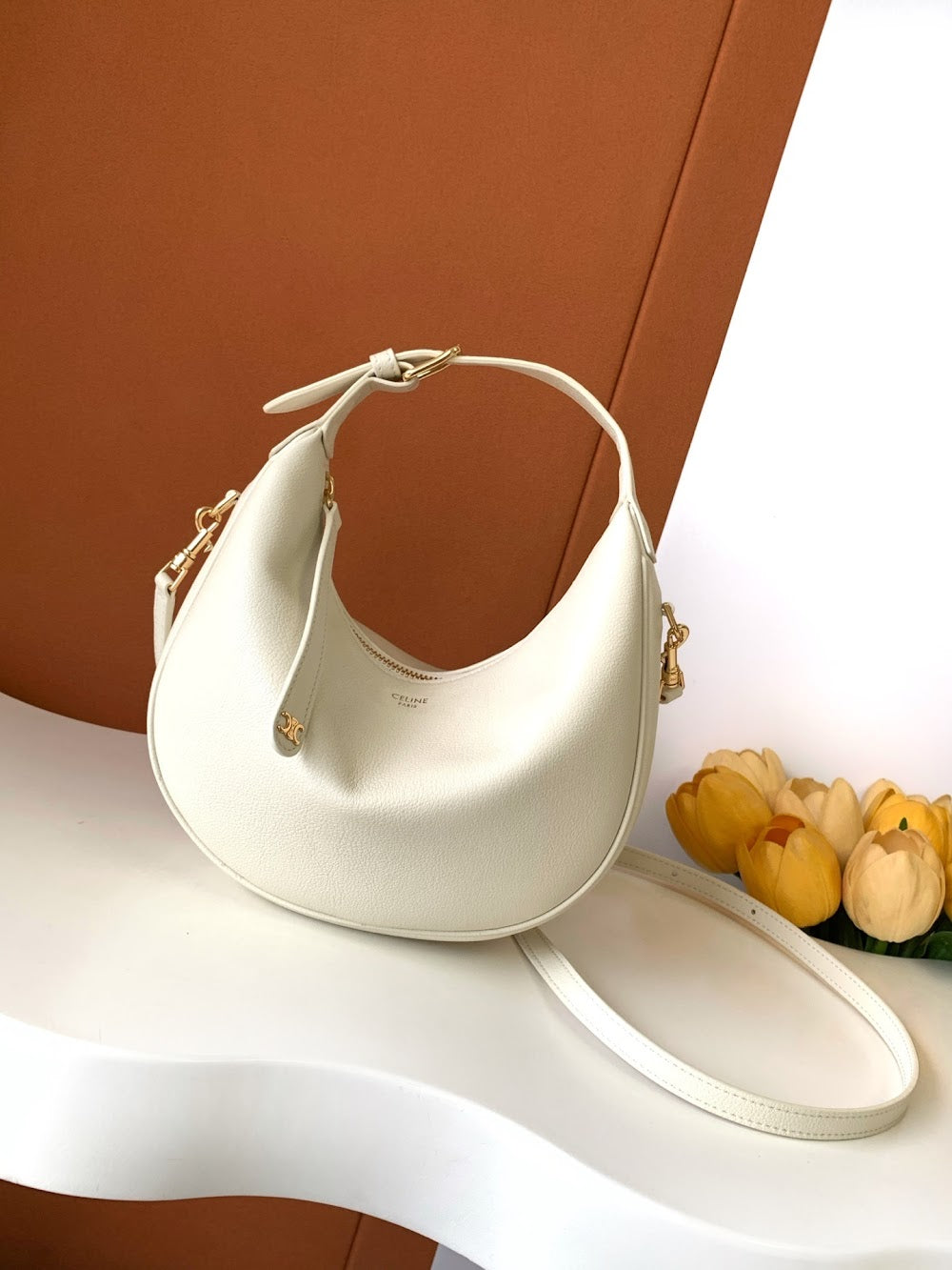 Dragons Bags Celine Luxury Bag --112076