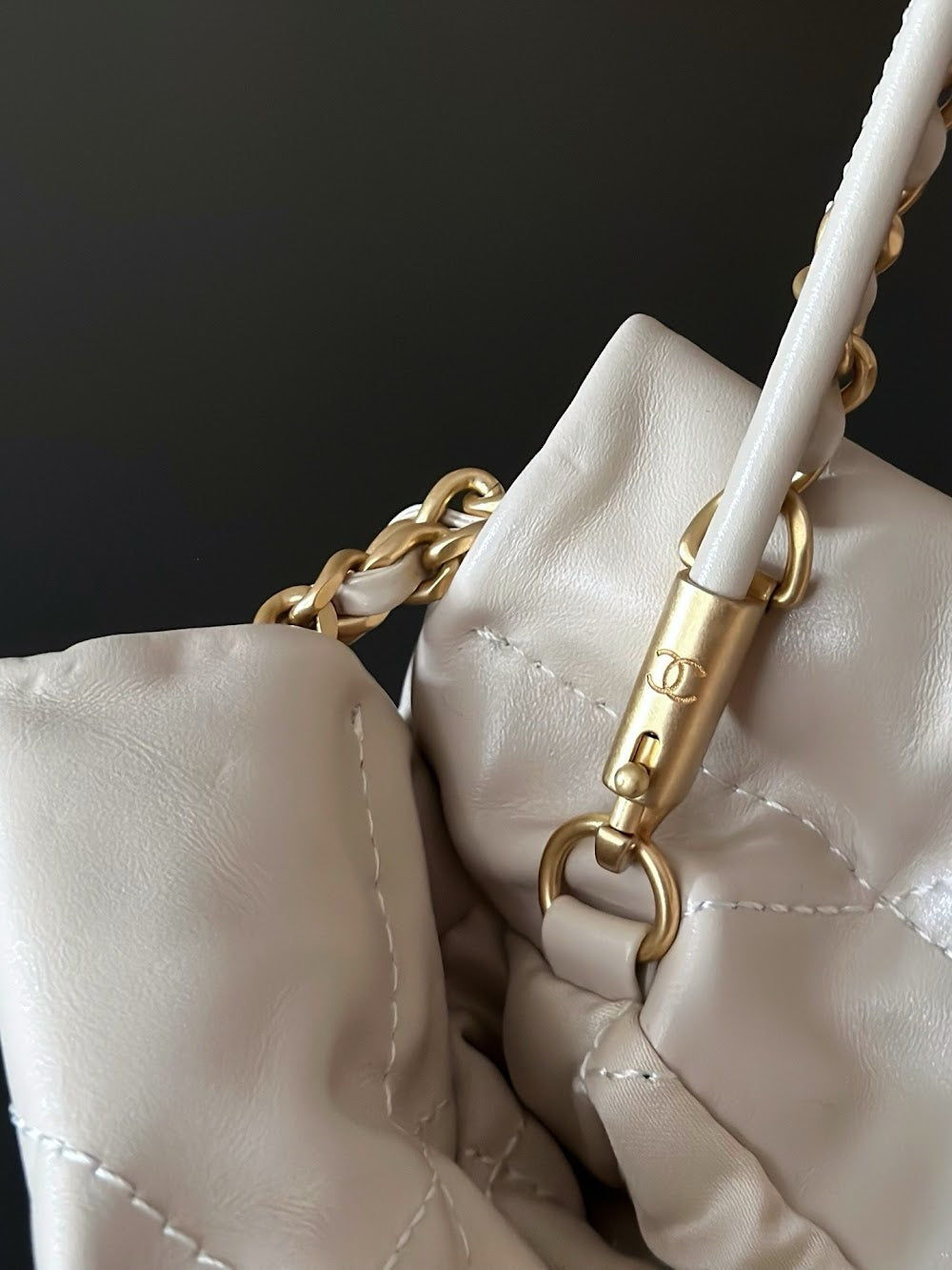 Dragons BagsCHn Luxury Bag --114373