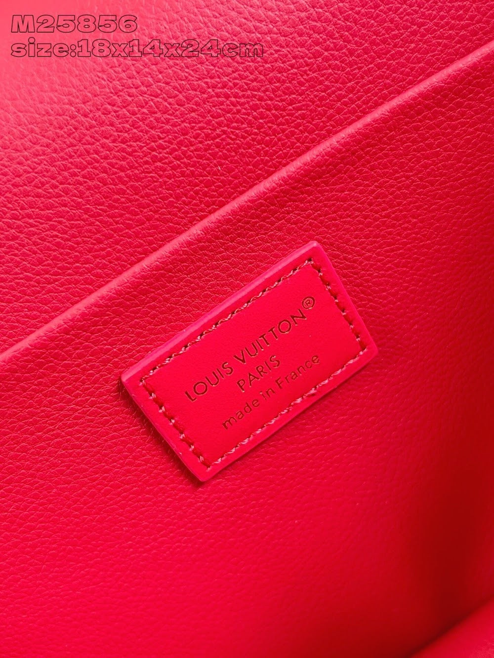 Dragons Bags ln Luxury Bag --96907