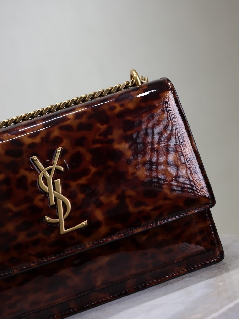 Dragons Bags YSLn Luxury Bag --119669