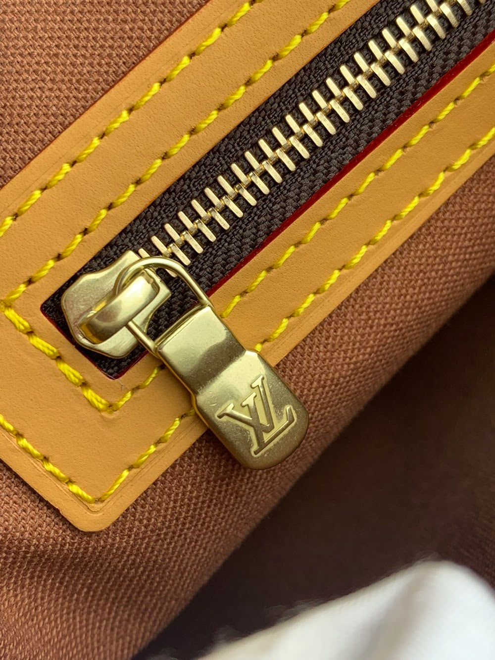 Dragons Bags ln Luxury Bag --63188