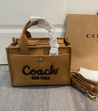 new-designer-premium-bags-nm6310