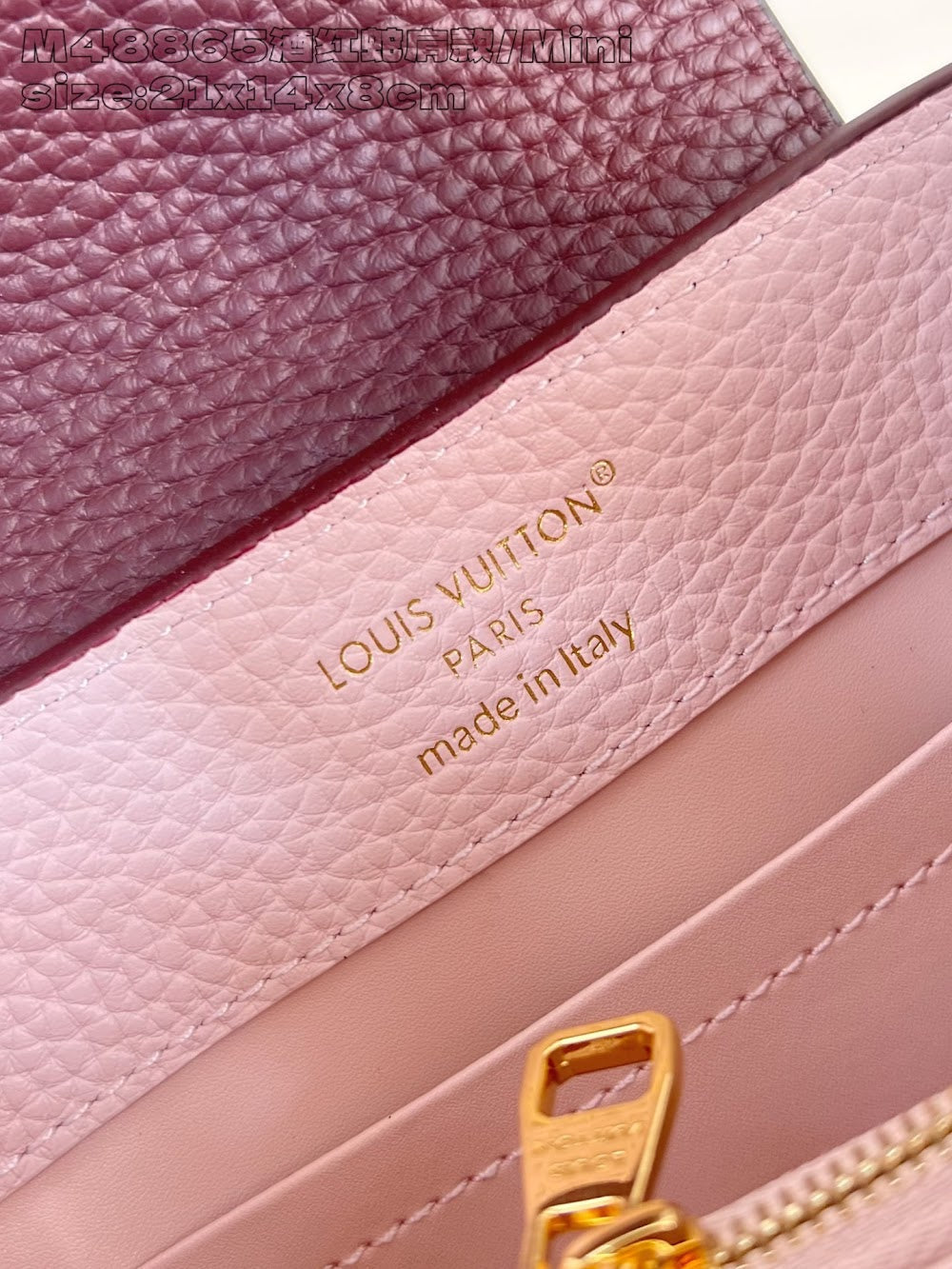 Dragons Bags ln Luxury Bag --95679