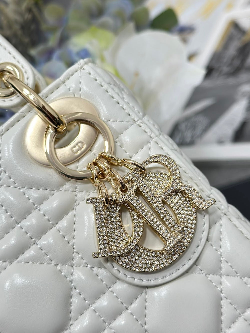 Dragons BagsDiorn Luxury Bag --115900