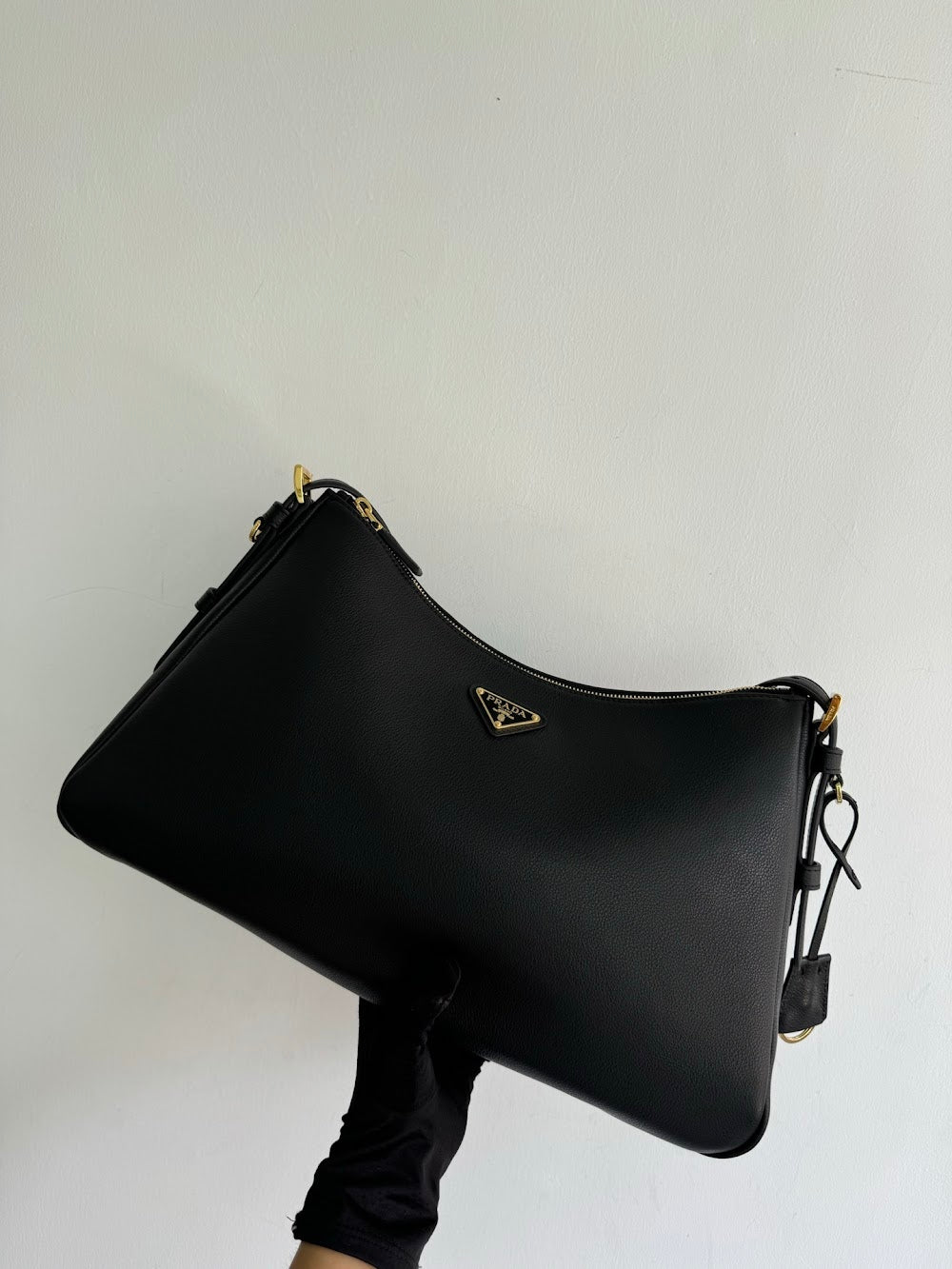 Dragons Bags Pradn Luxury Bag --102551