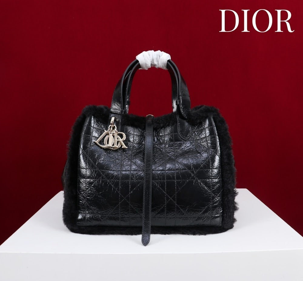 Dragons BagsDiorn Luxury Bag --116119