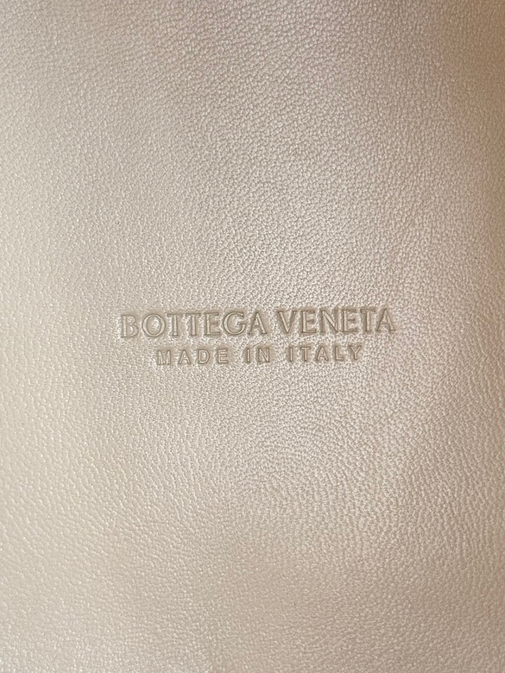 Dragons Bags Bottegan Luxury Bag --90966