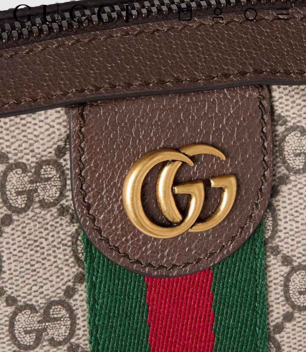 Dragons Bags Guccin Luxury Bag --94396