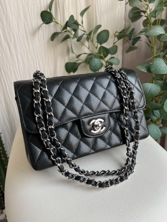 new-designer-premium-bags-nm10225