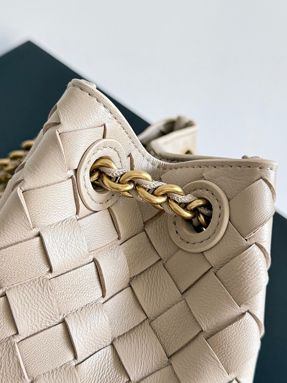 Dragons Bags Bottegan Luxury Bag --90449