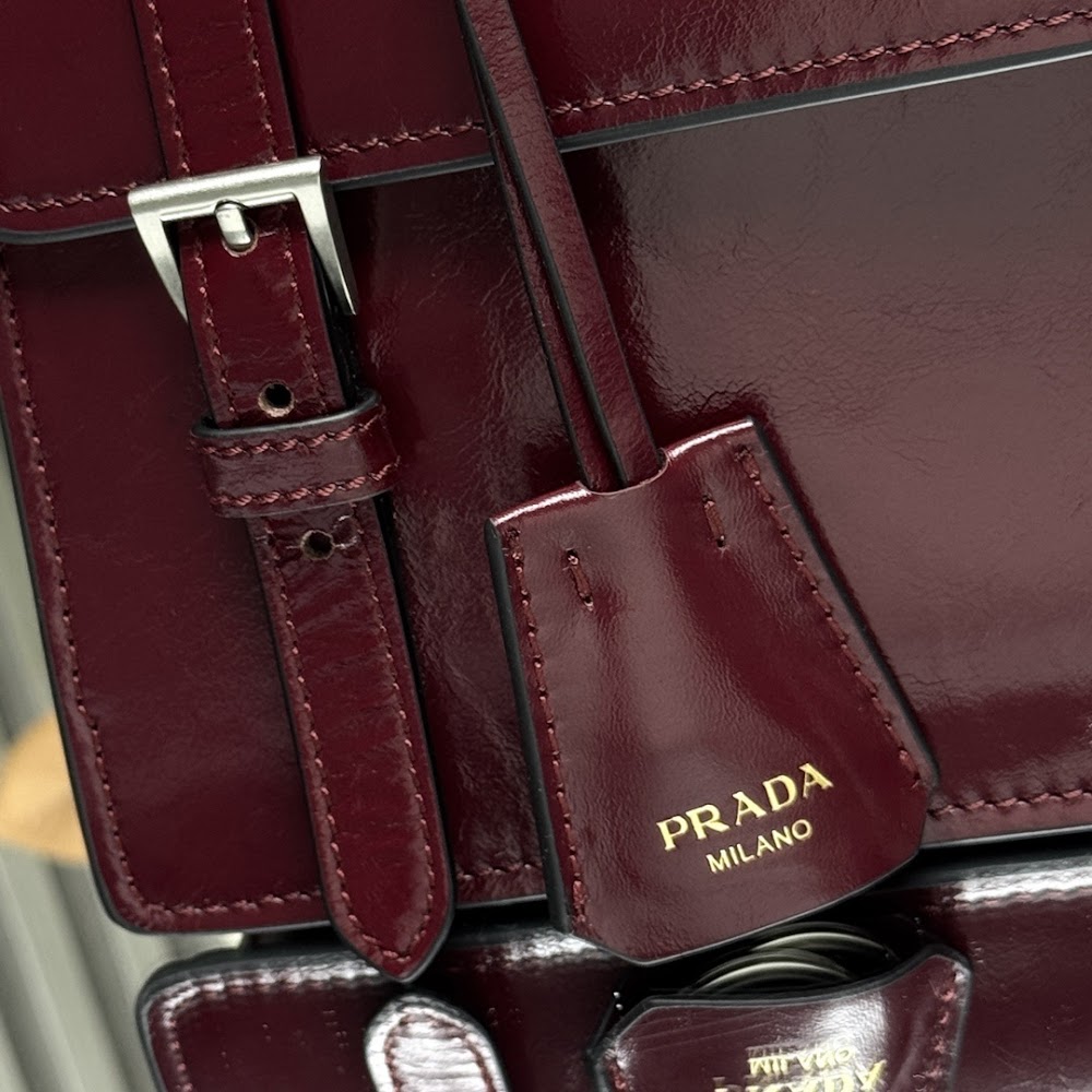 Dragons Bags Pradn Luxury Bag --102586