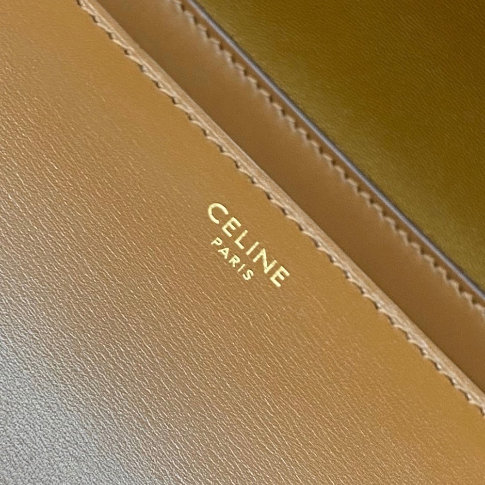 Dragons Bags Celine Luxury Bag --112013