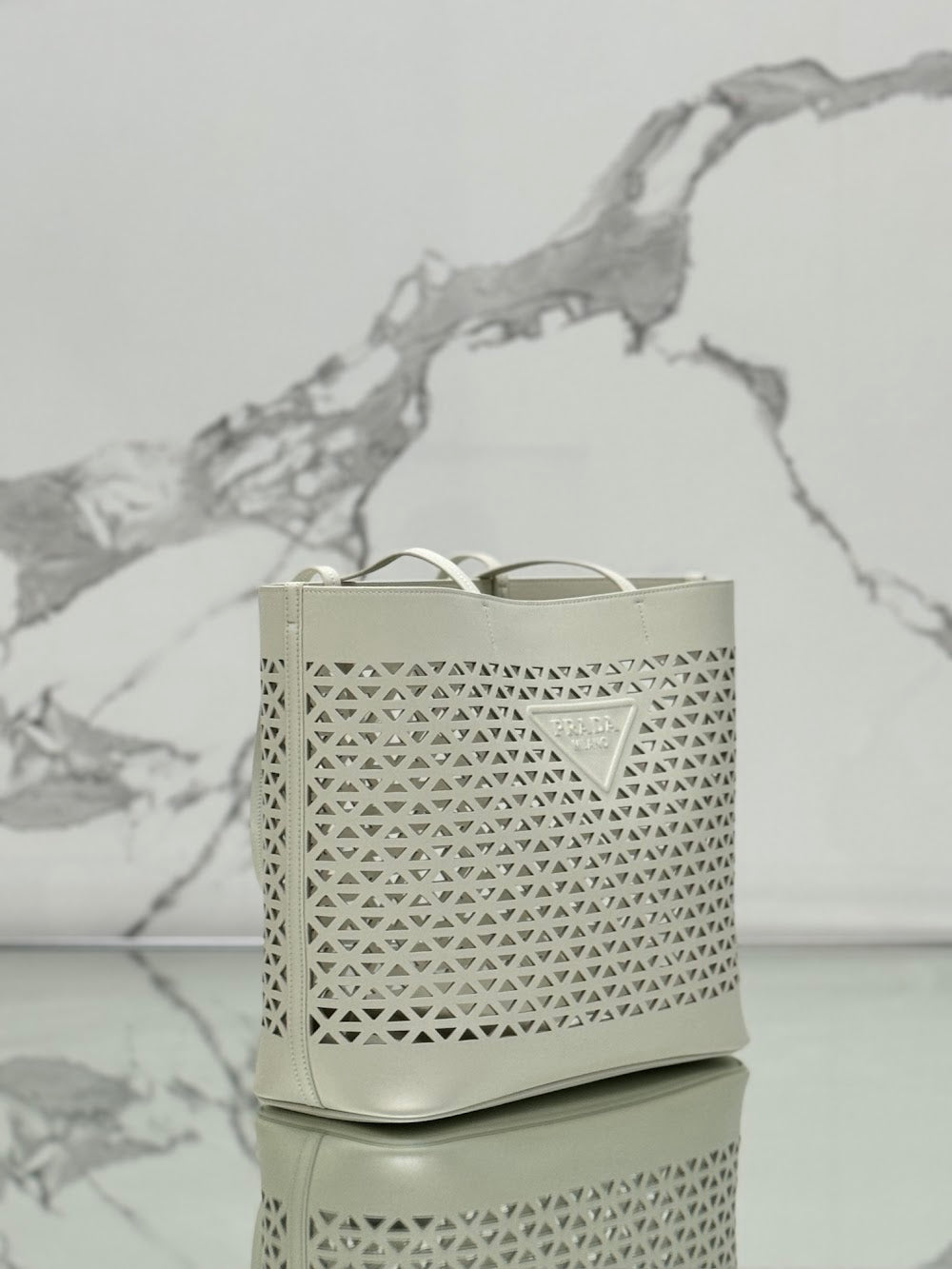 Dragons Bags Pradn Luxury Bag --101901