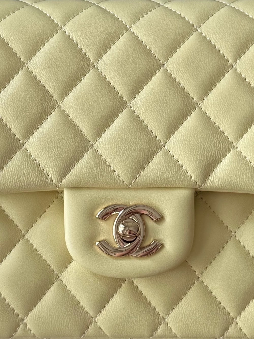 Dragons Bags CHn Luxury Bag --112963