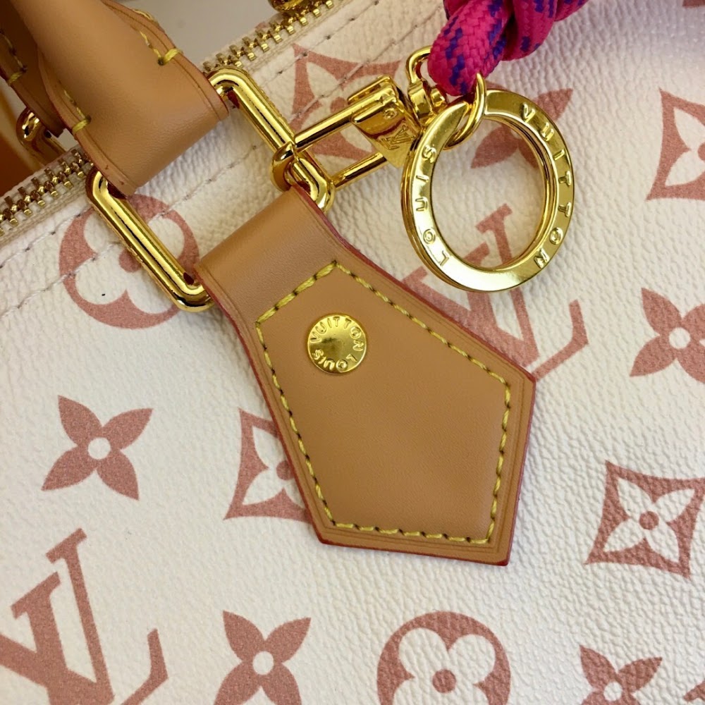 Dragons Bags ln Luxury Bag --77138
