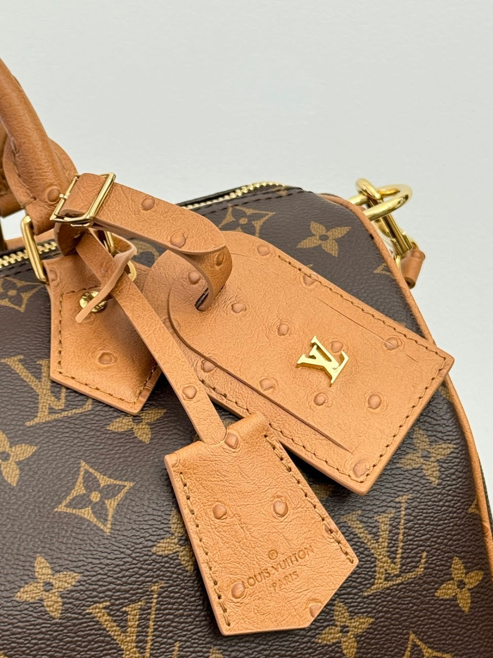 Dragons Bags ln Luxury Bag --96286