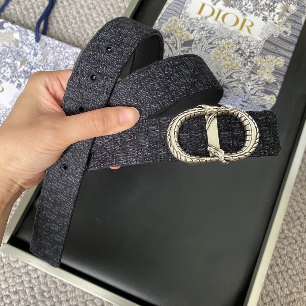 Dragons Bags Diorn Luxury Belt --104898