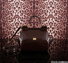 new-designer-premium-bags-nm6959