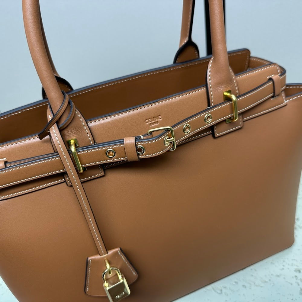 Dragons Bags Celine Luxury Bag --112492