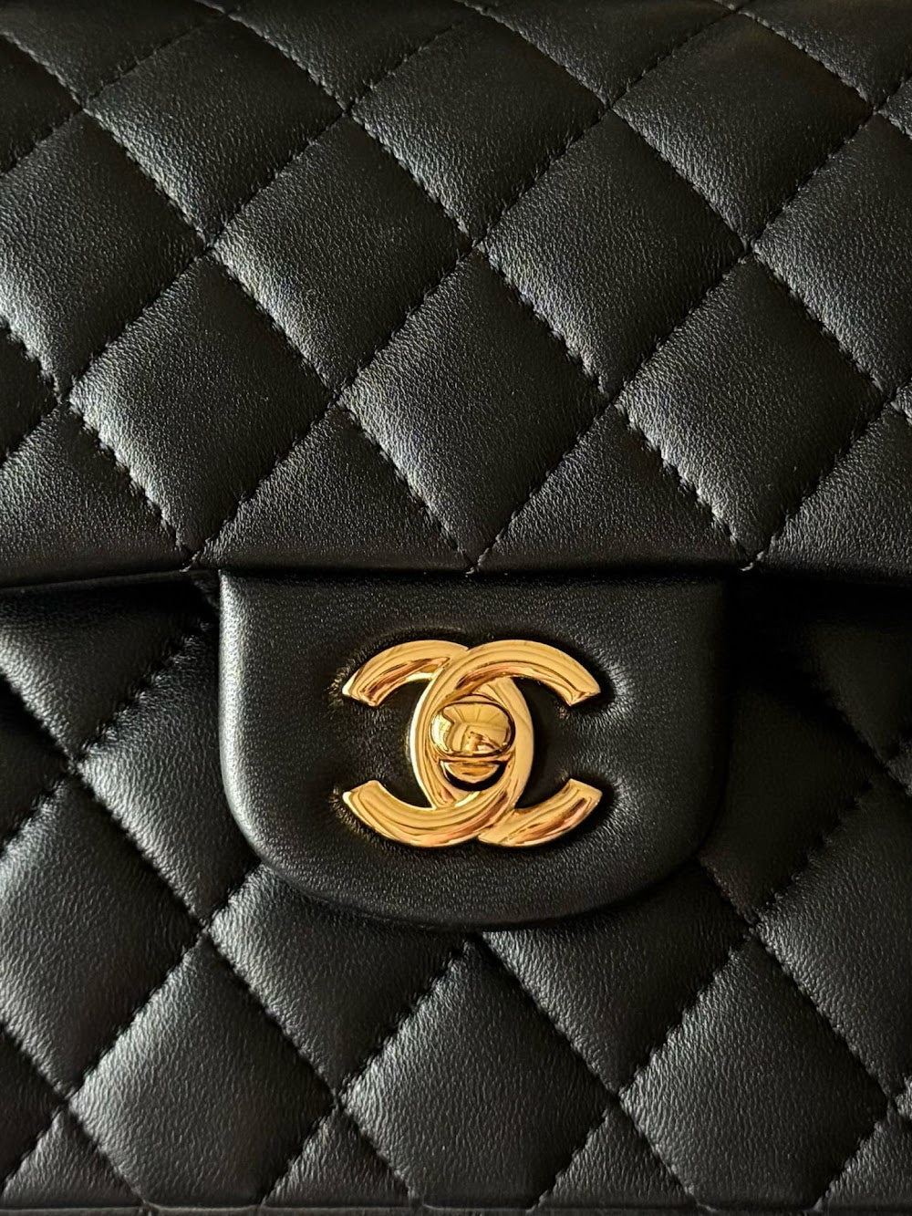 Dragons Bags CHn Luxury Bag --112982