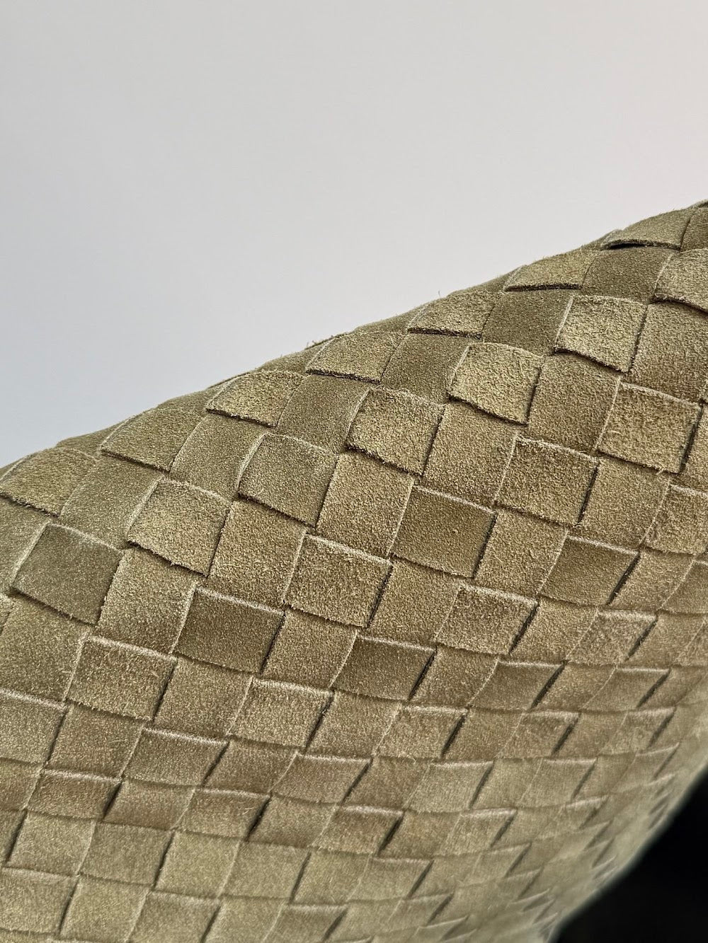 Dragons Bags Bottegan Luxury Bag --91414