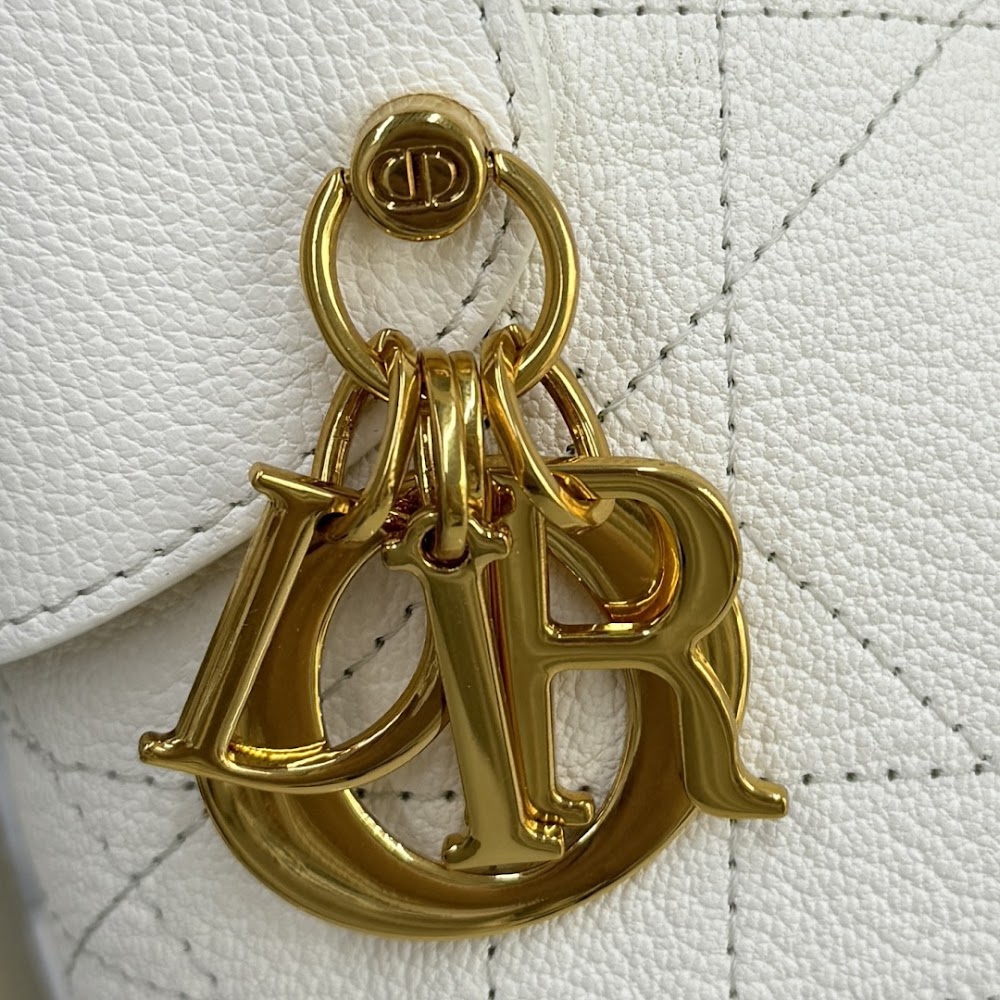 Dragons BagsDiorn Luxury Bag --115653