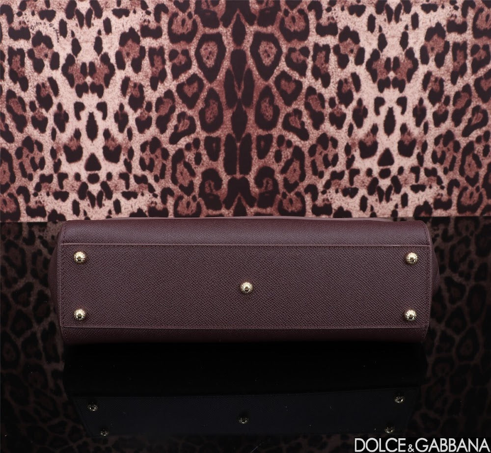 Dragons Bags DGn Luxury Bag --93689