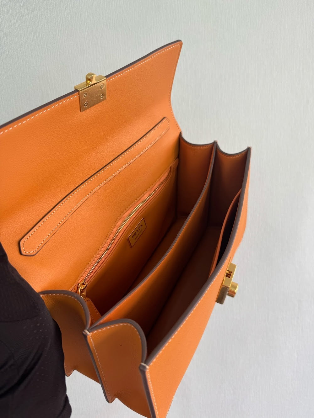Dragons Bags Pradn Luxury Bag --102541