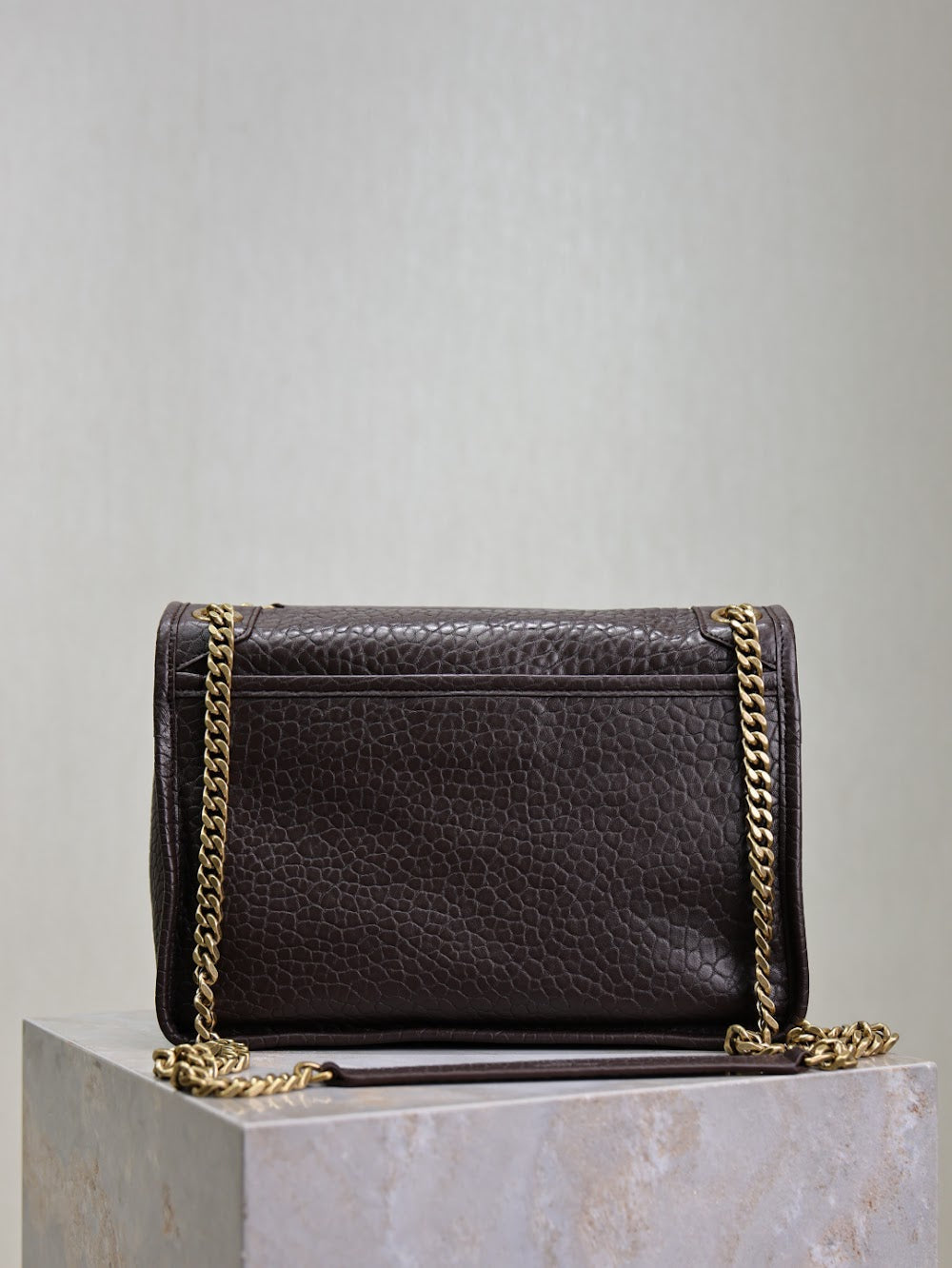 Dragons Bags YSLn Luxury Bag --119699