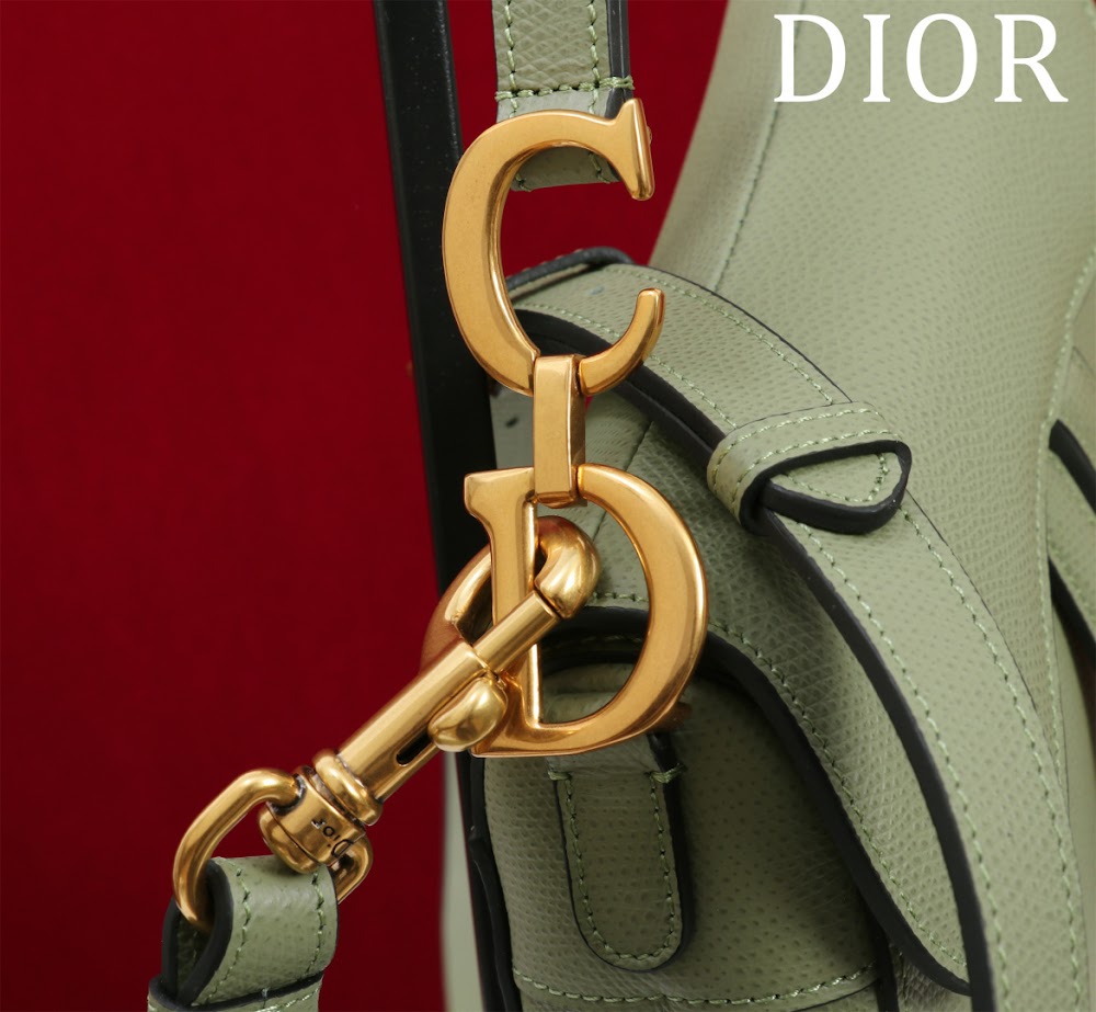 Dragons BagsDiorn Luxury Bag --116508