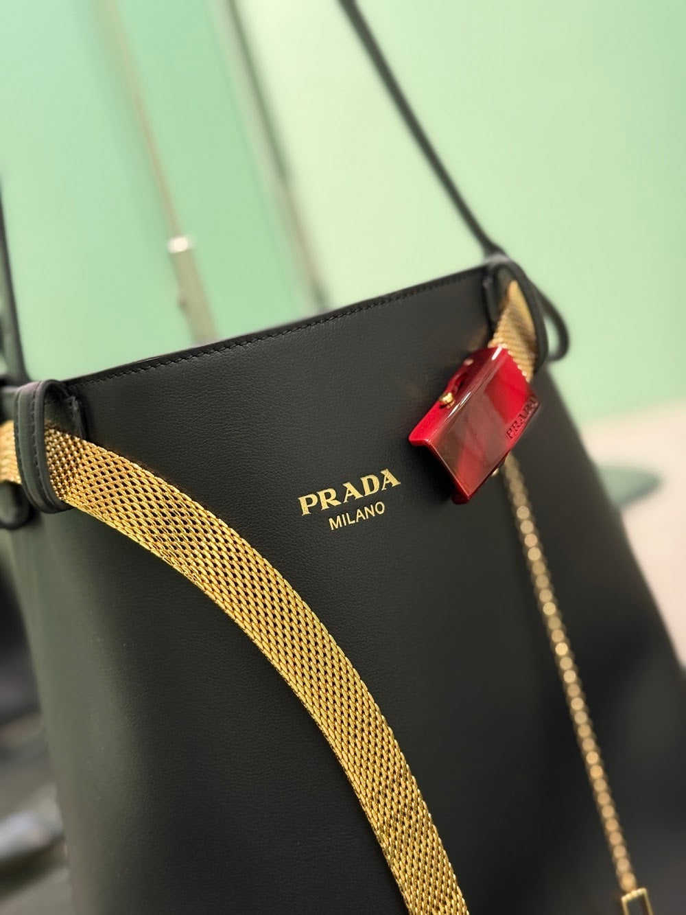 Dragons Bags Pradn Luxury Bag --102287