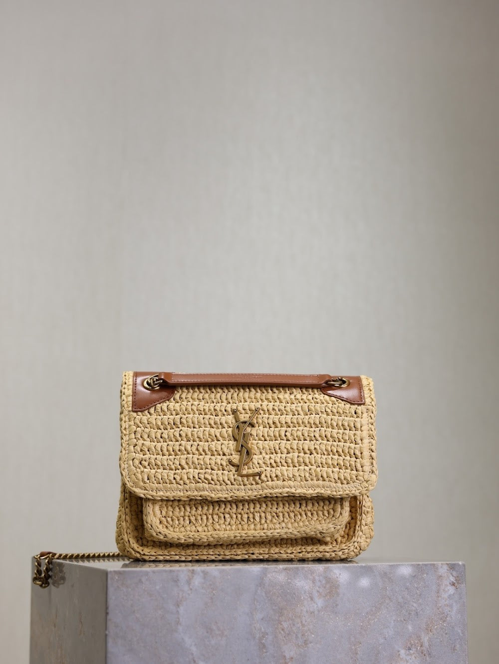 Dragons Bags YSLn Luxury Bag --119183
