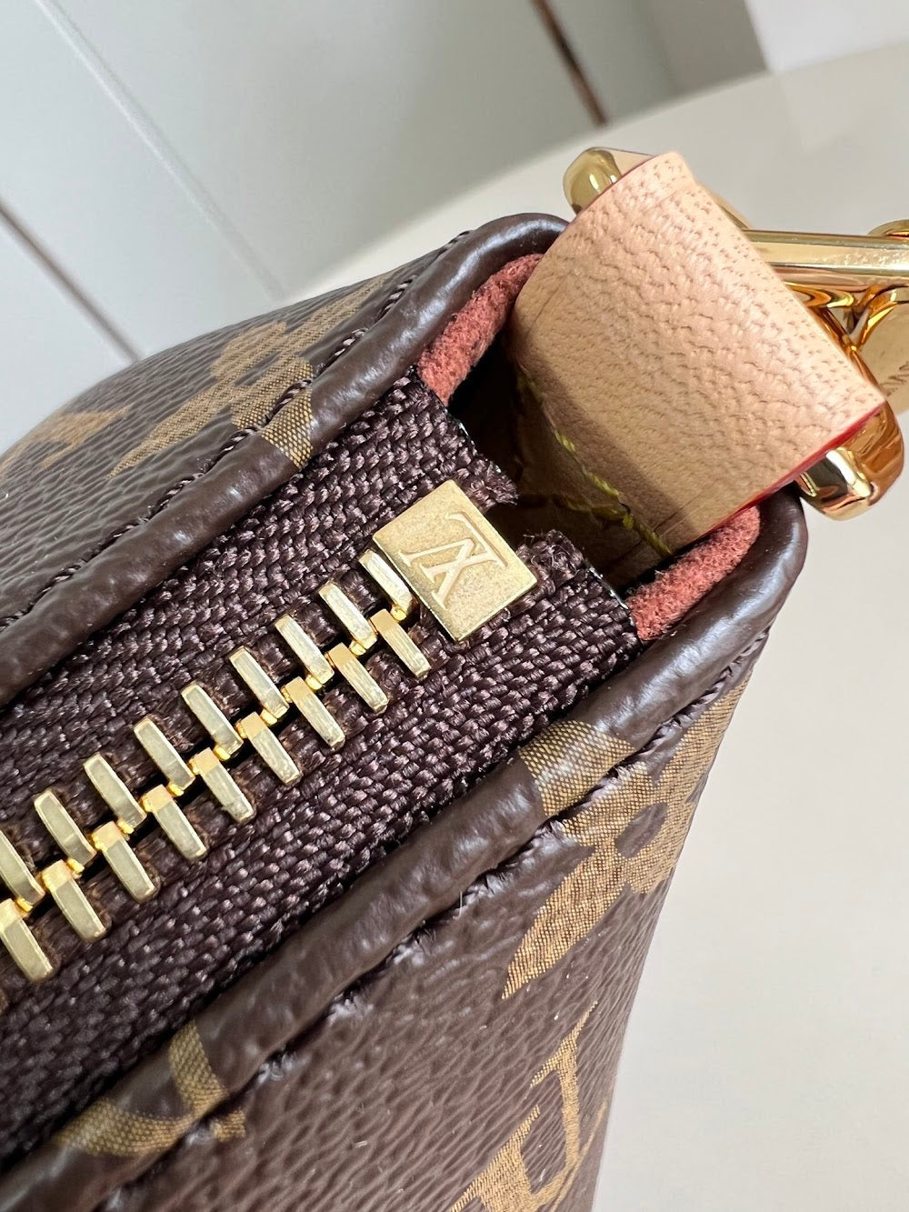 Dragons Bags ln Luxury Bag --95602