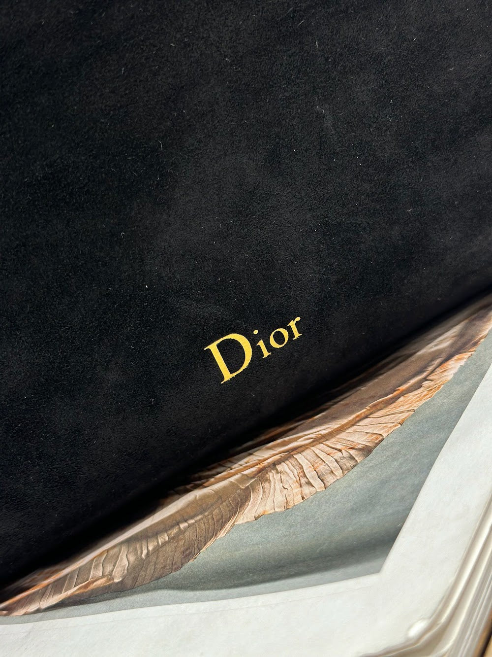 Dragons BagsDiorn Luxury Bag --115529