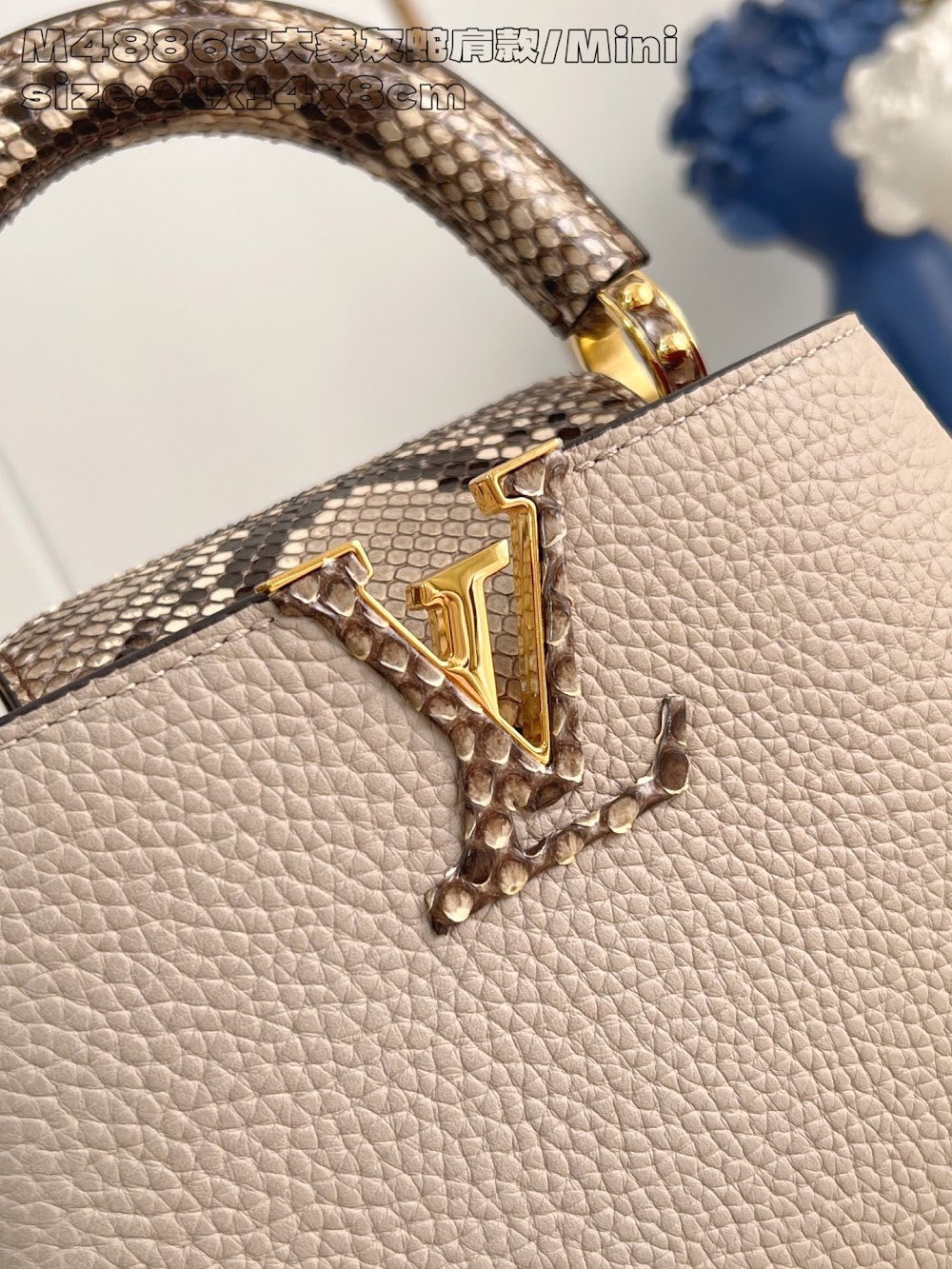 Dragons Bags ln Luxury Bag --95709