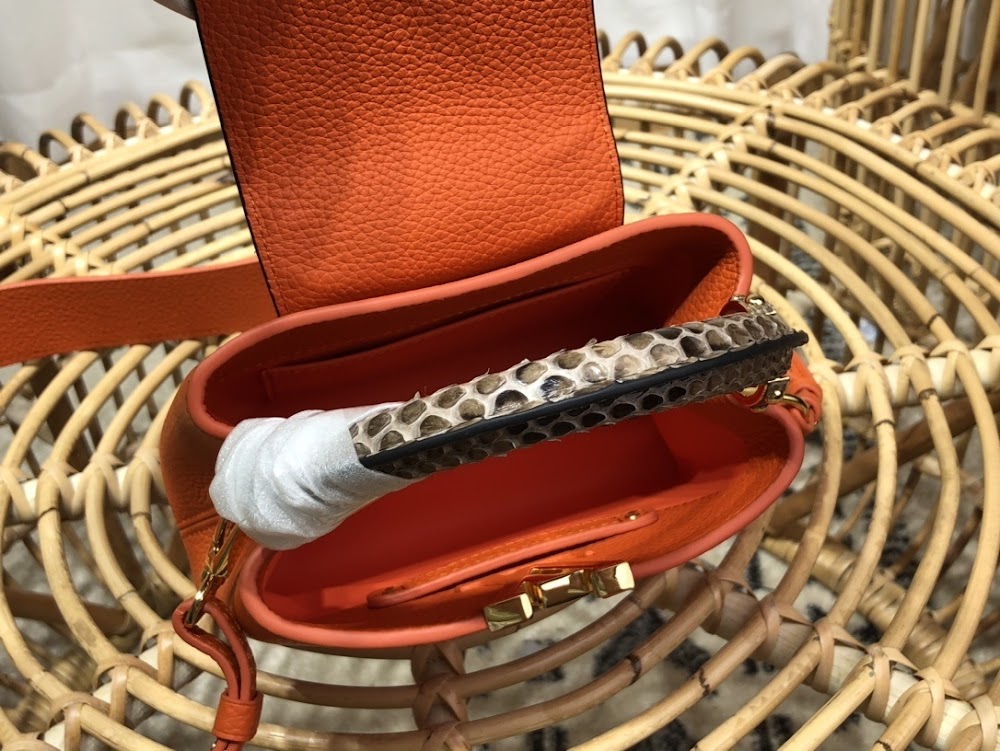 Dragons Bags LV Luxury Bag --55902
