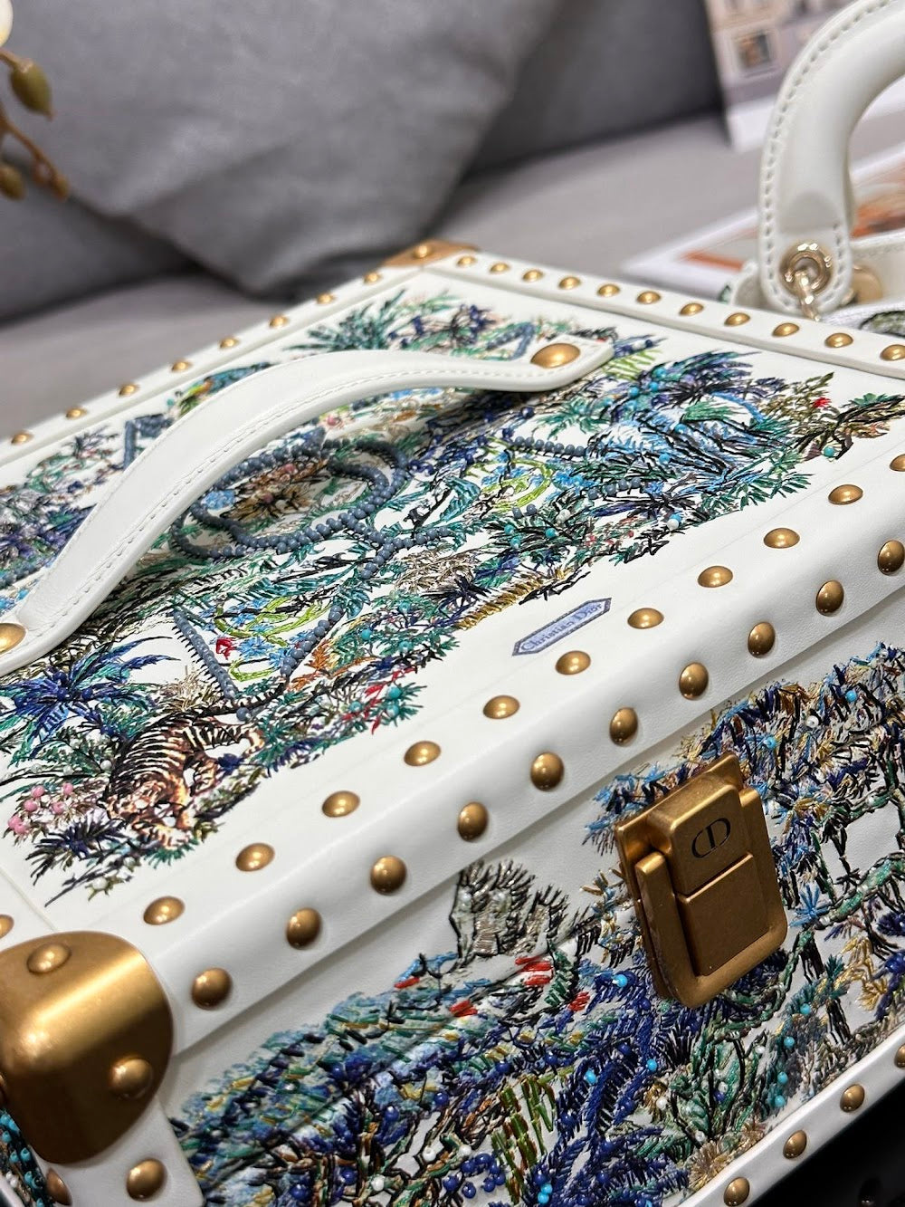 Dragons BagsDiorn Luxury Bag --114459