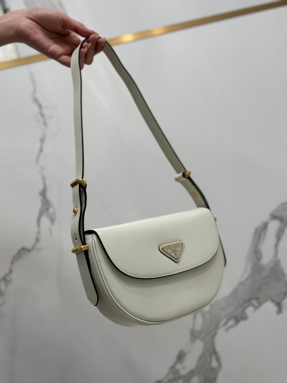Dragons Bags Pradn Luxury Bag --102089