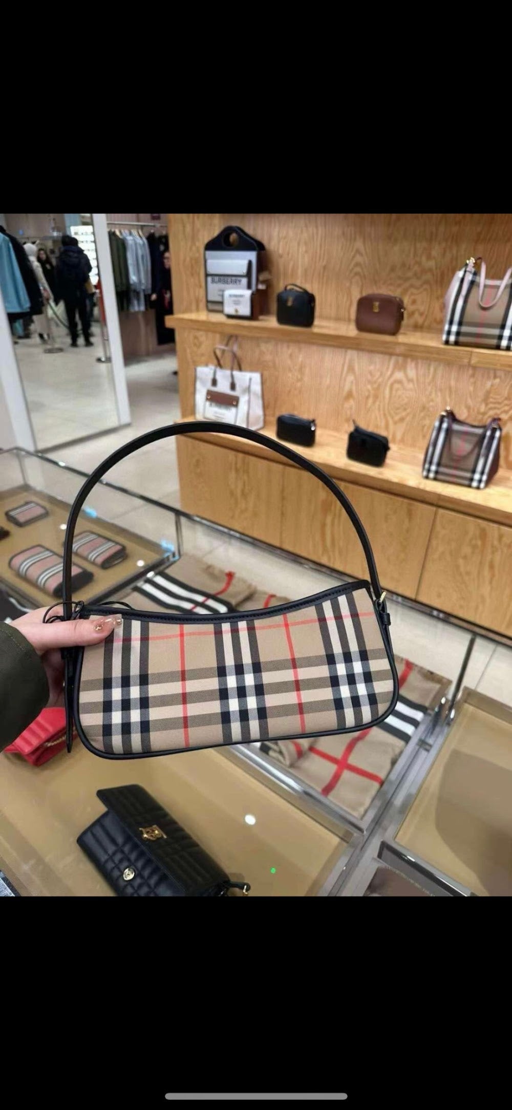 Dragons Bags Burberryn Luxury Bag --92058