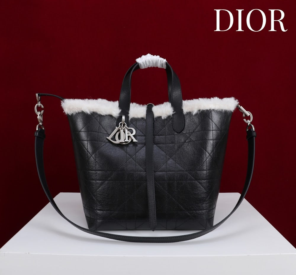 Dragons BagsDiorn Luxury Bag --114887