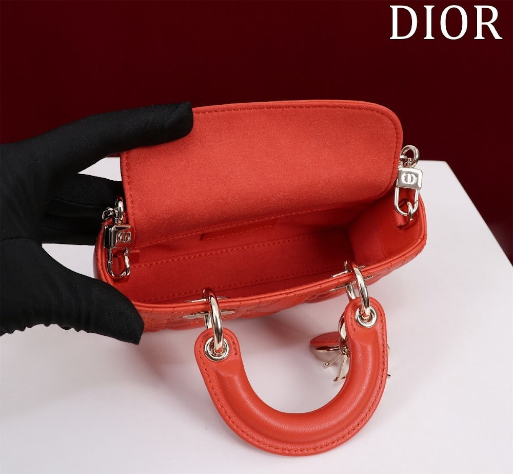 Dragons BagsDiorn Luxury Bag --116450