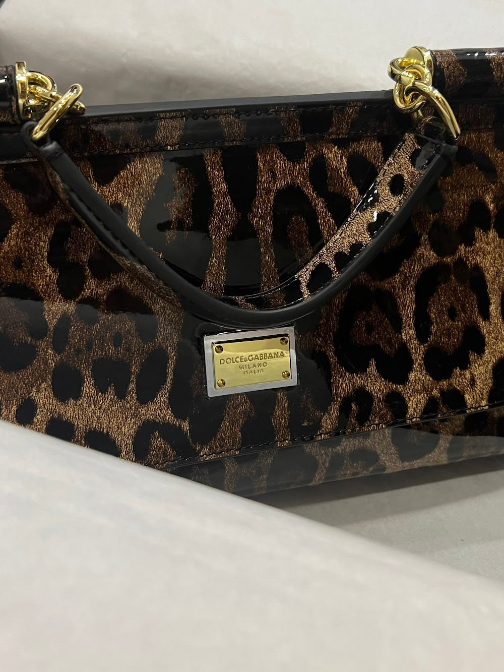 Dragons Bags DGn Luxury Bag --93814