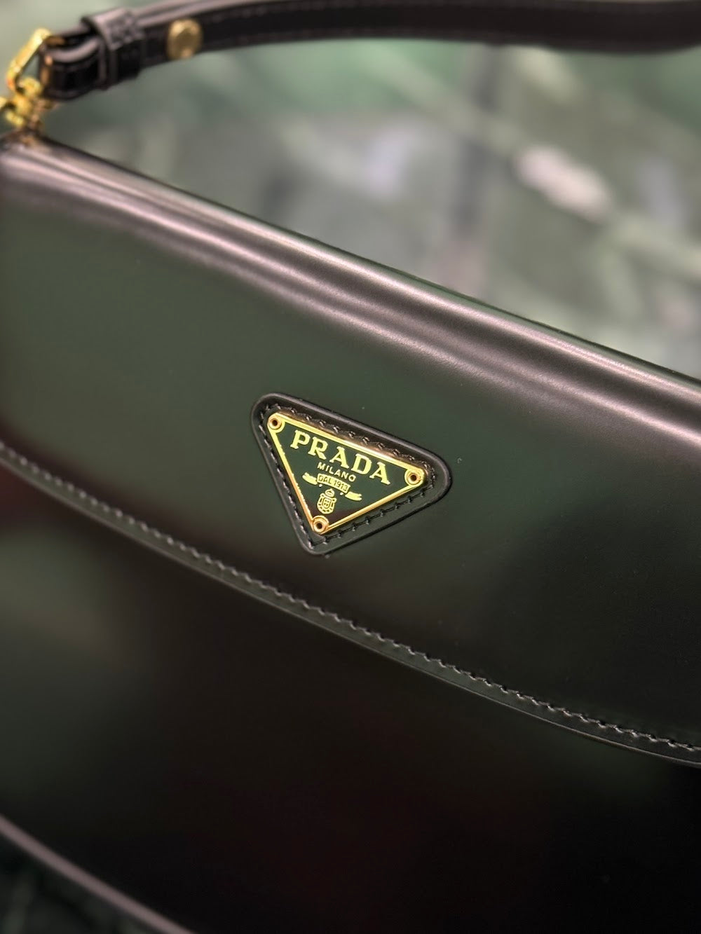 Dragons Bags Pradn Luxury Bag --101628