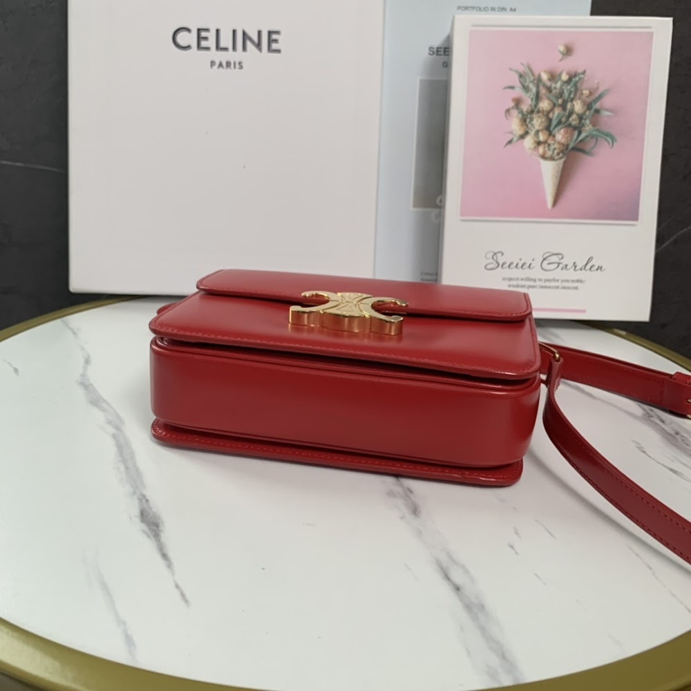 Dragons Bags Celine Luxury Bag --111991