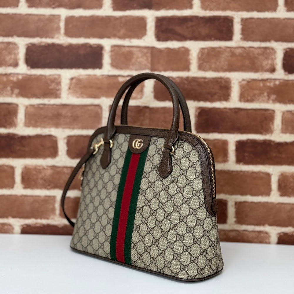 Dragons Bags Guccin Luxury Bag --94741