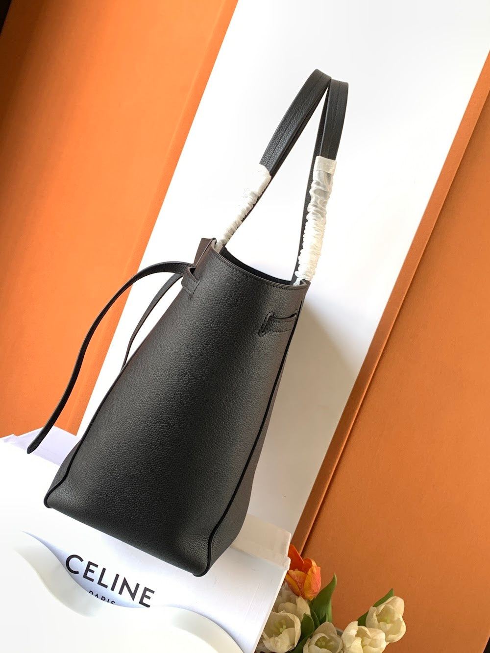 Dragons Bags Celine Luxury Bag --112108